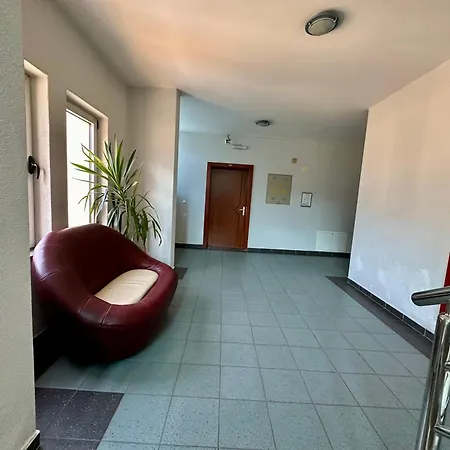 ホテル Wellness & - Oaza 4*